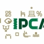 Investimentos e IPCA acumulado: qual a relação?